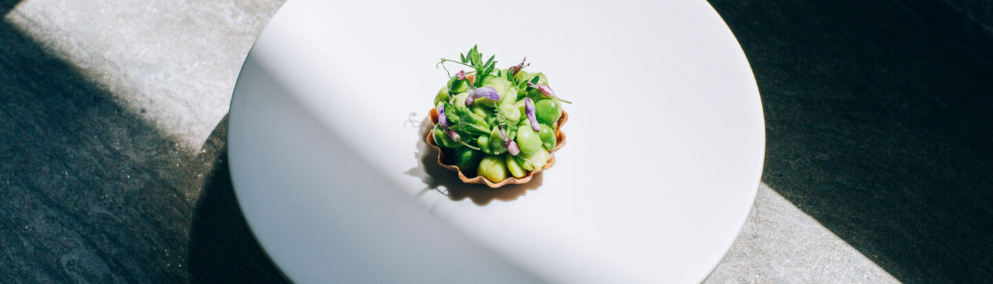 Teller mit angerichtetem Gourmetgericht Ein Teller mit einem angerichtetem Gourmetgericht wird leicht von der Sonne angeschienen