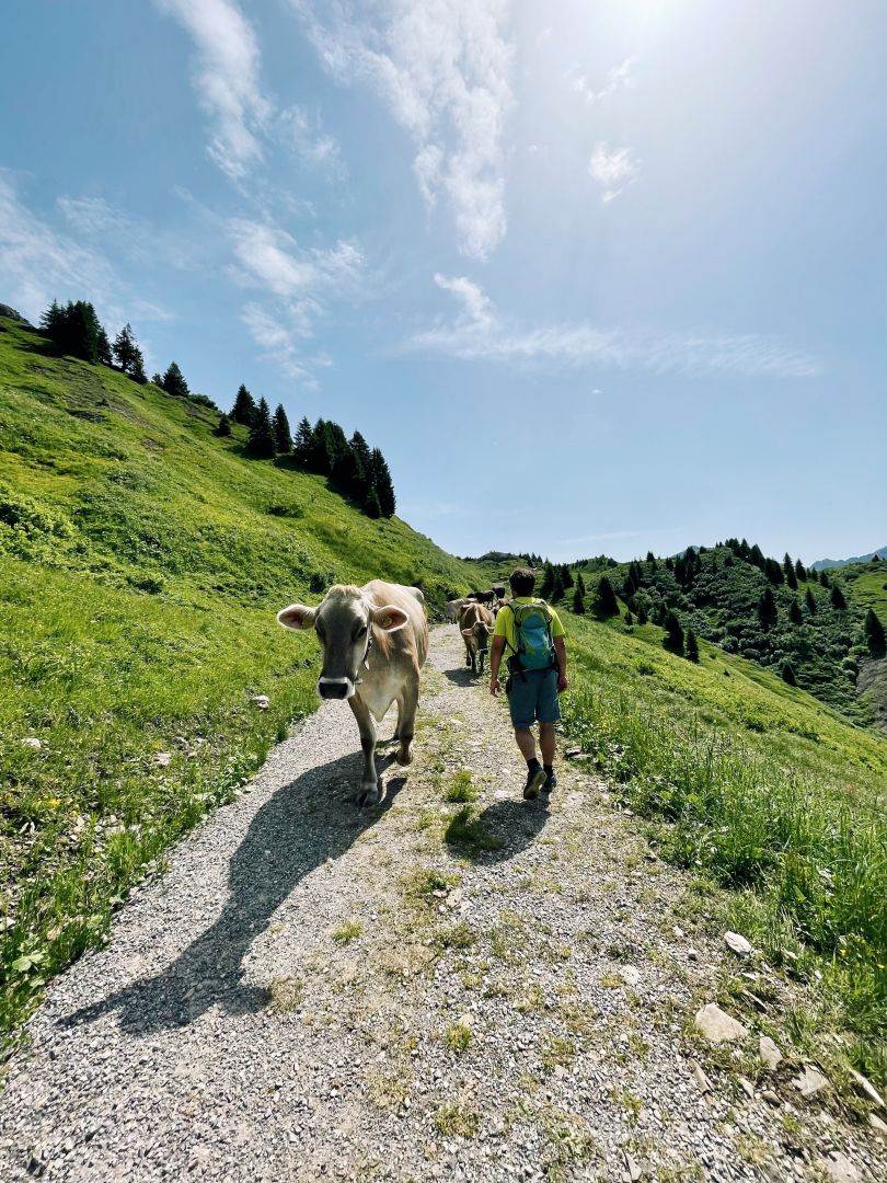 Wanderung_Oberlech-Buerstegg-Bodenalpe_Jul21_LZTG_by_Magdalena_Walch (8)