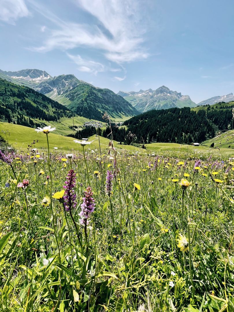 Wanderung_Oberlech-Buerstegg-Bodenalpe_Jul21_LZTG_by_Magdalena_Walch (15)