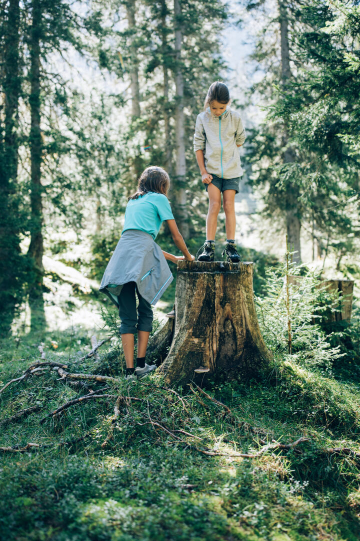 zwei Kinder toben im Wald auf einem alten Baumstumpf