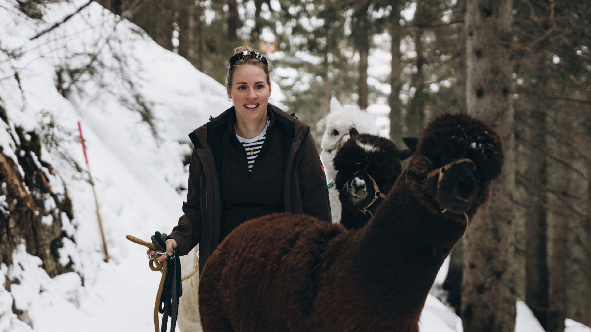 Adriana mit den Alpakas bei der Alpakawanderung durch die Lecher Berglandschaft