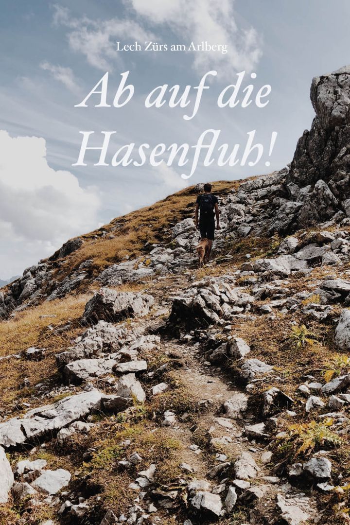 Pinterest_LZTG_