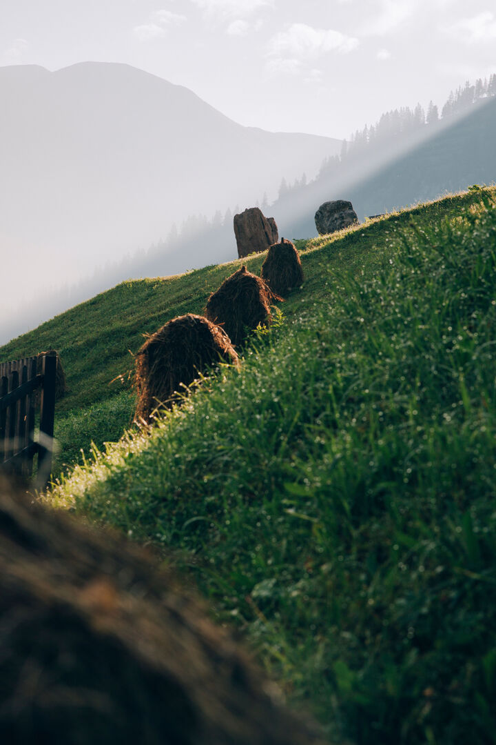 Landschaft_LZTG_by_Daniel_Zangerl_WEB_ (2)