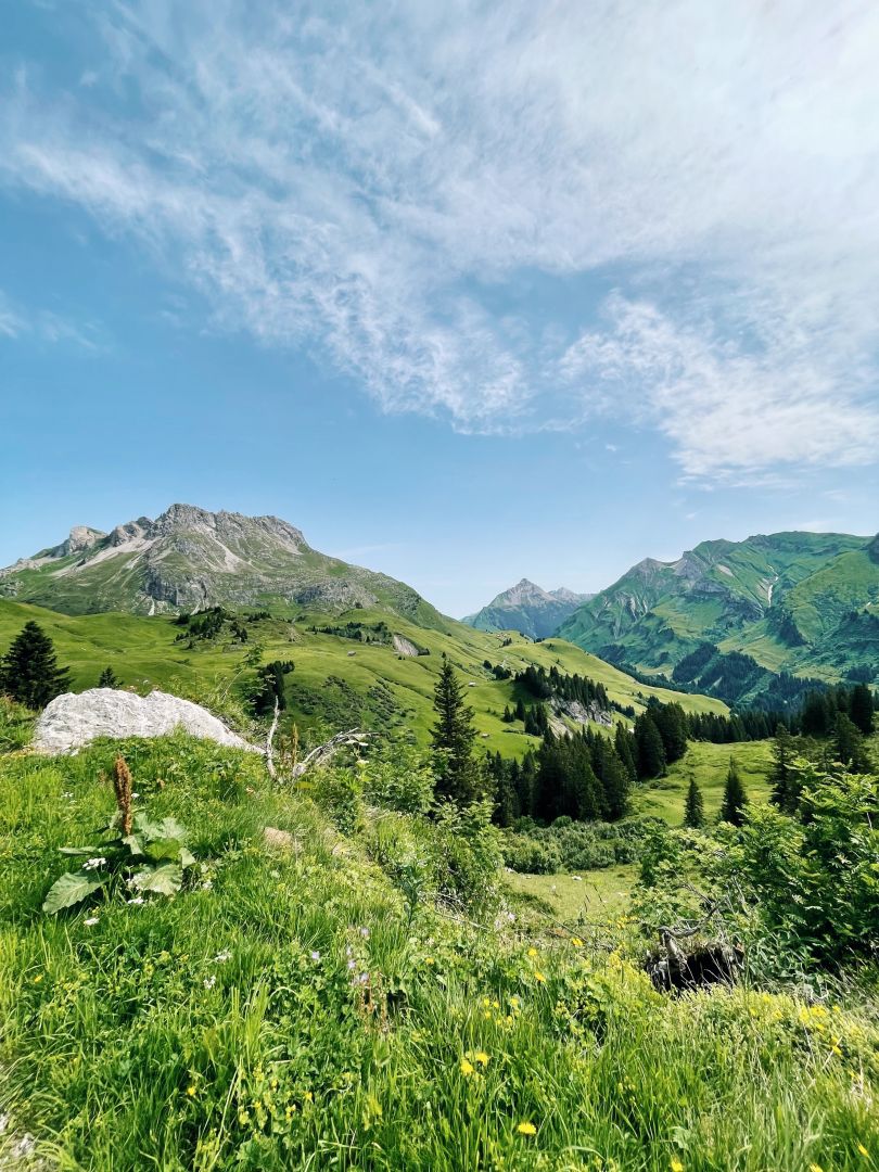 Wanderung_Oberlech-Buerstegg-Bodenalpe_Jul21_LZTG_by_Magdalena_Walch (2)