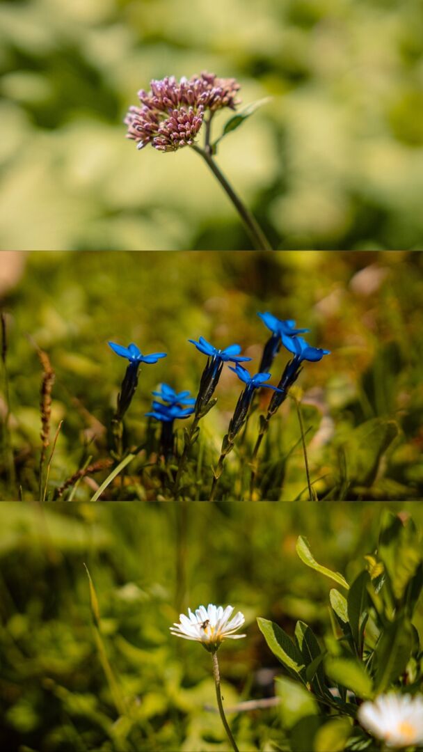 Wandersommer deines Lebens Lech Tag 3 (2)