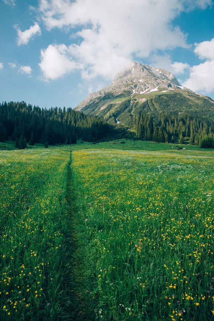 Fruehling_LZTG_by_Daniel_Zangerl_16