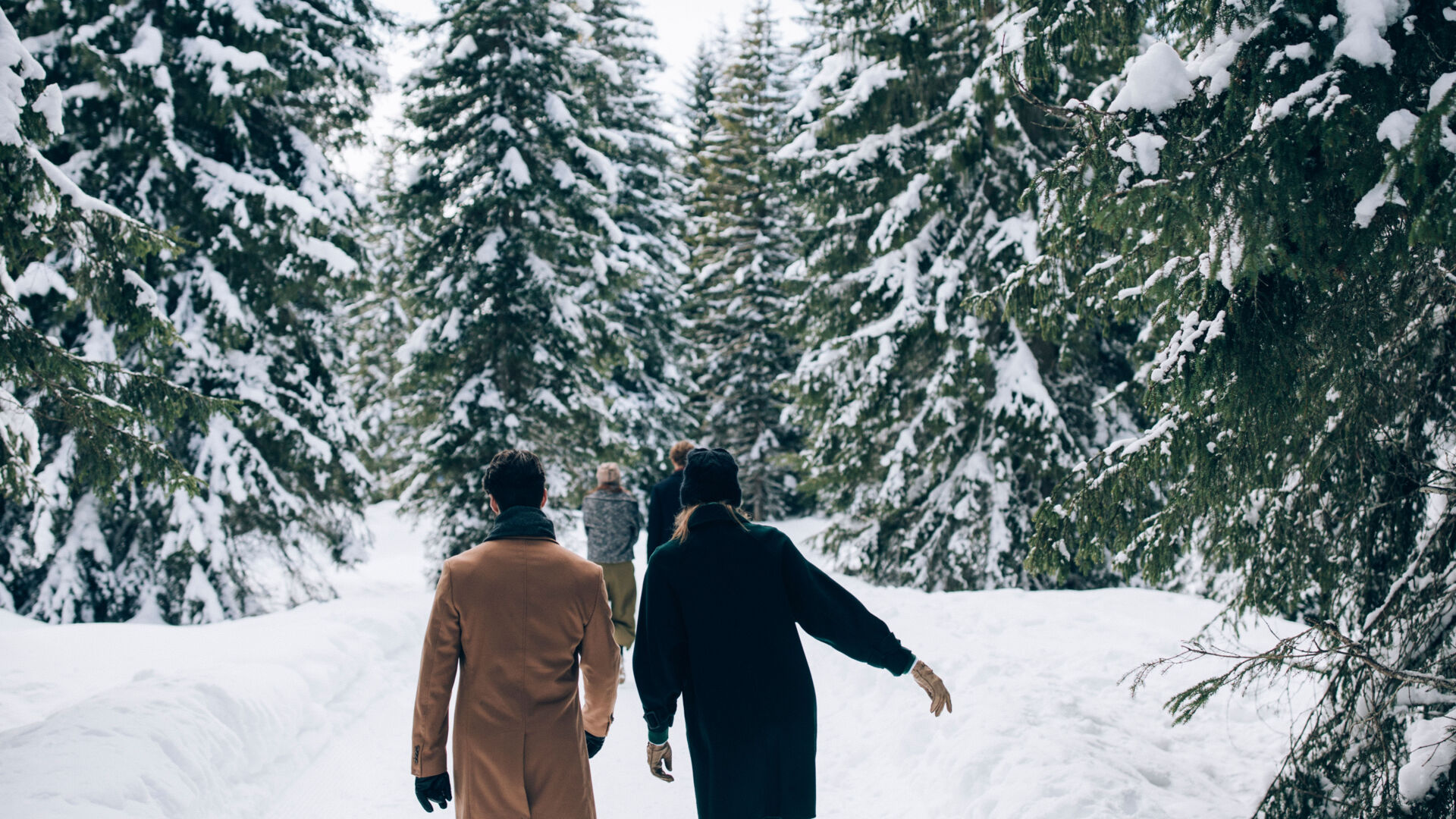 mehrere Personen laufen zwischen den schneebedeckten Nadelbäumen über den Winterwanderweg
