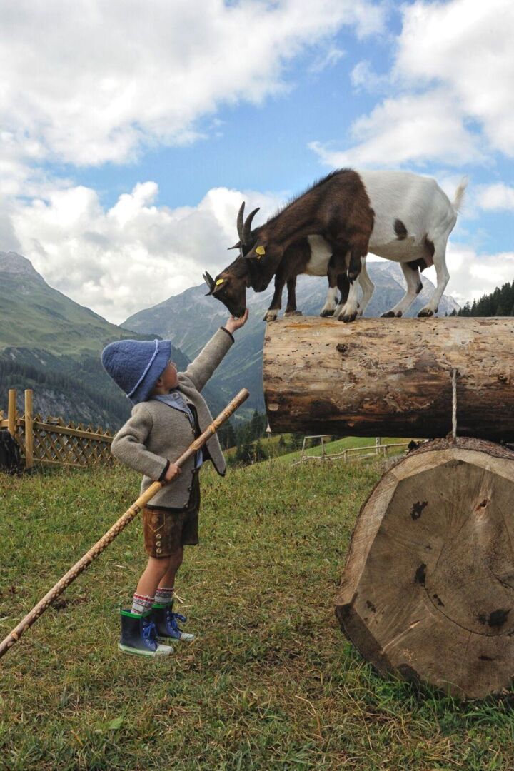 Streichelzoo Rud-Alpe