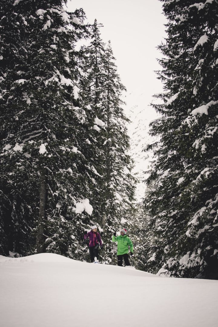 Blick auf die schneebedeckten Nadelbäume, inmitten der Schneelandschaft, in der Mitte des Bildes sieht man 2 Schneeschuhwanderer