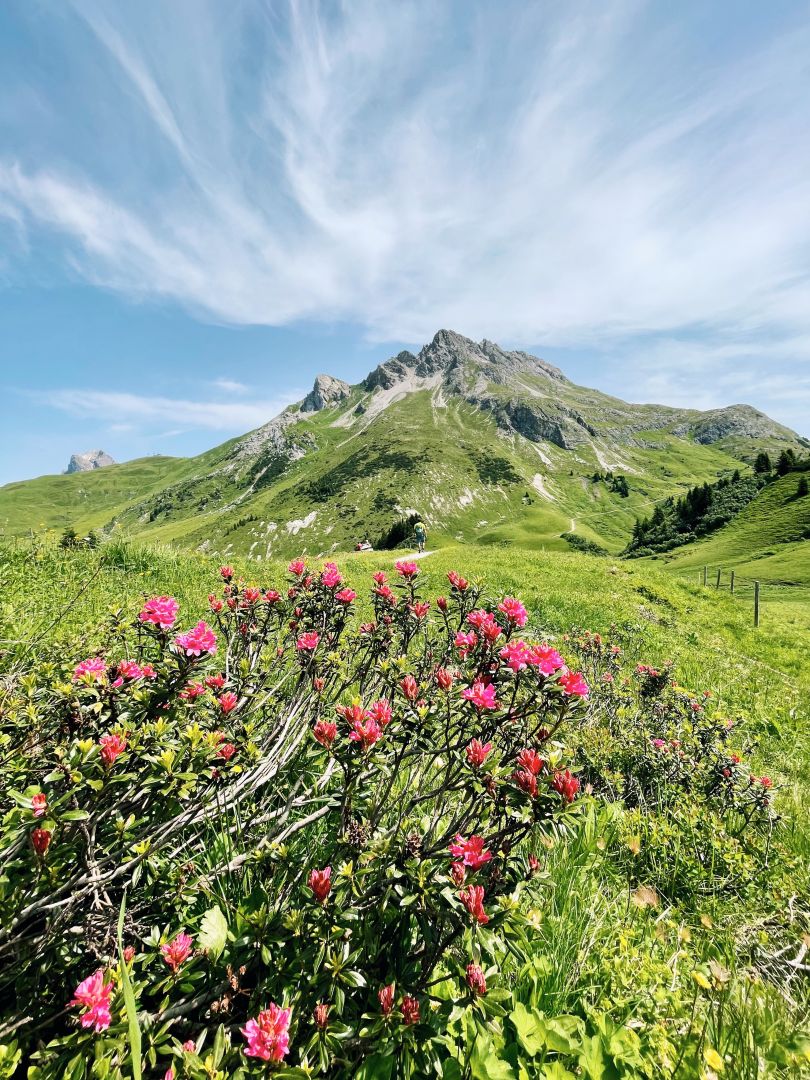 Wanderung_Oberlech-Buerstegg-Bodenalpe_Jul21_LZTG_by_Magdalena_Walch (6)