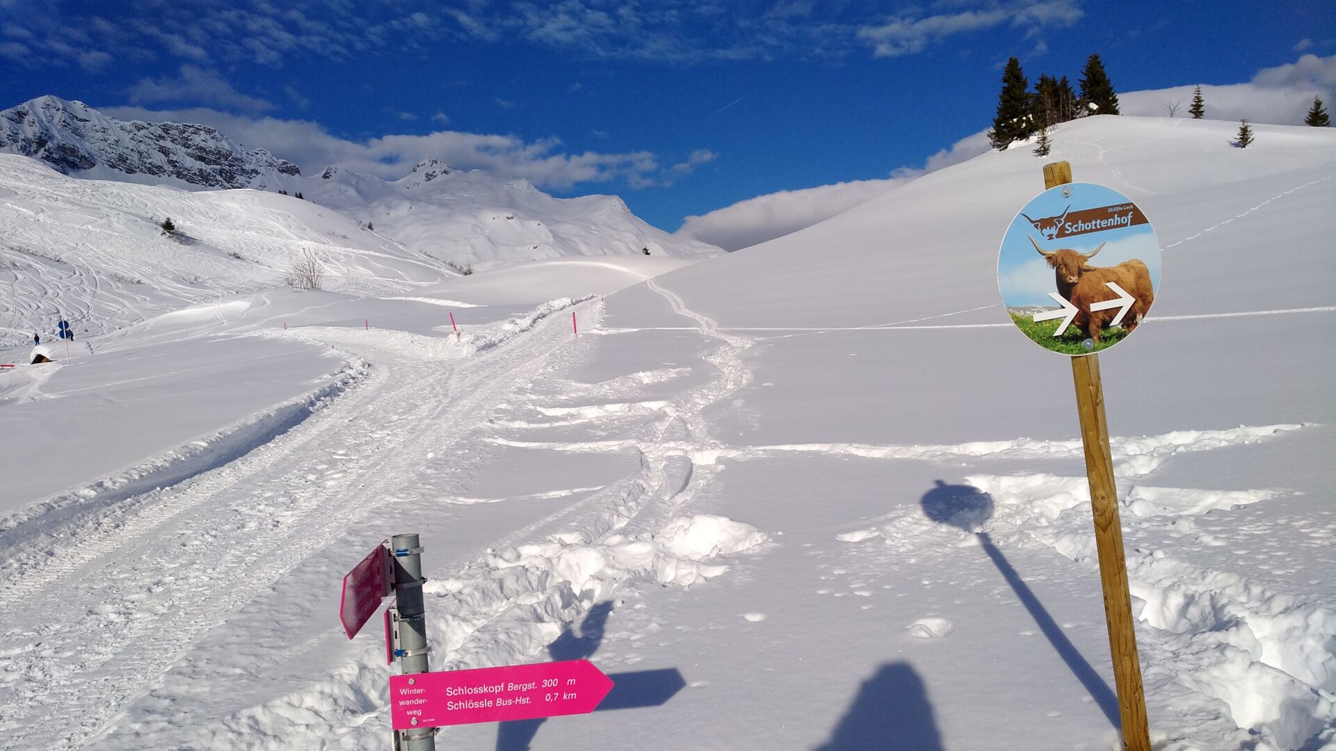 Abzweigung Schottenhof