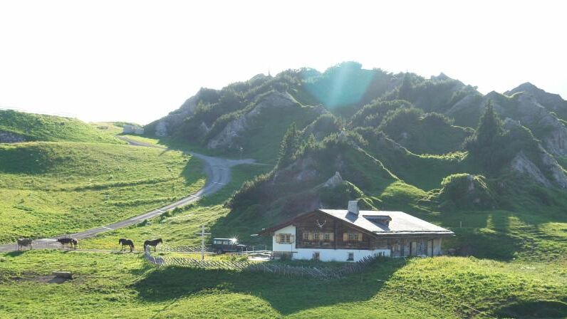 Kriegeralpe