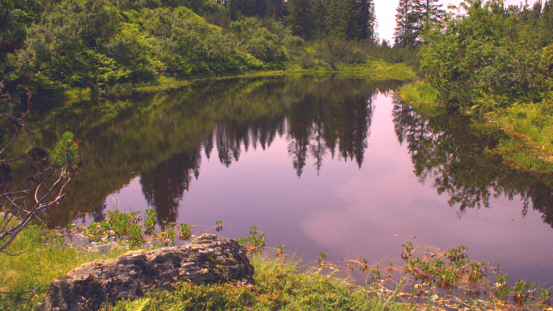Stubner See