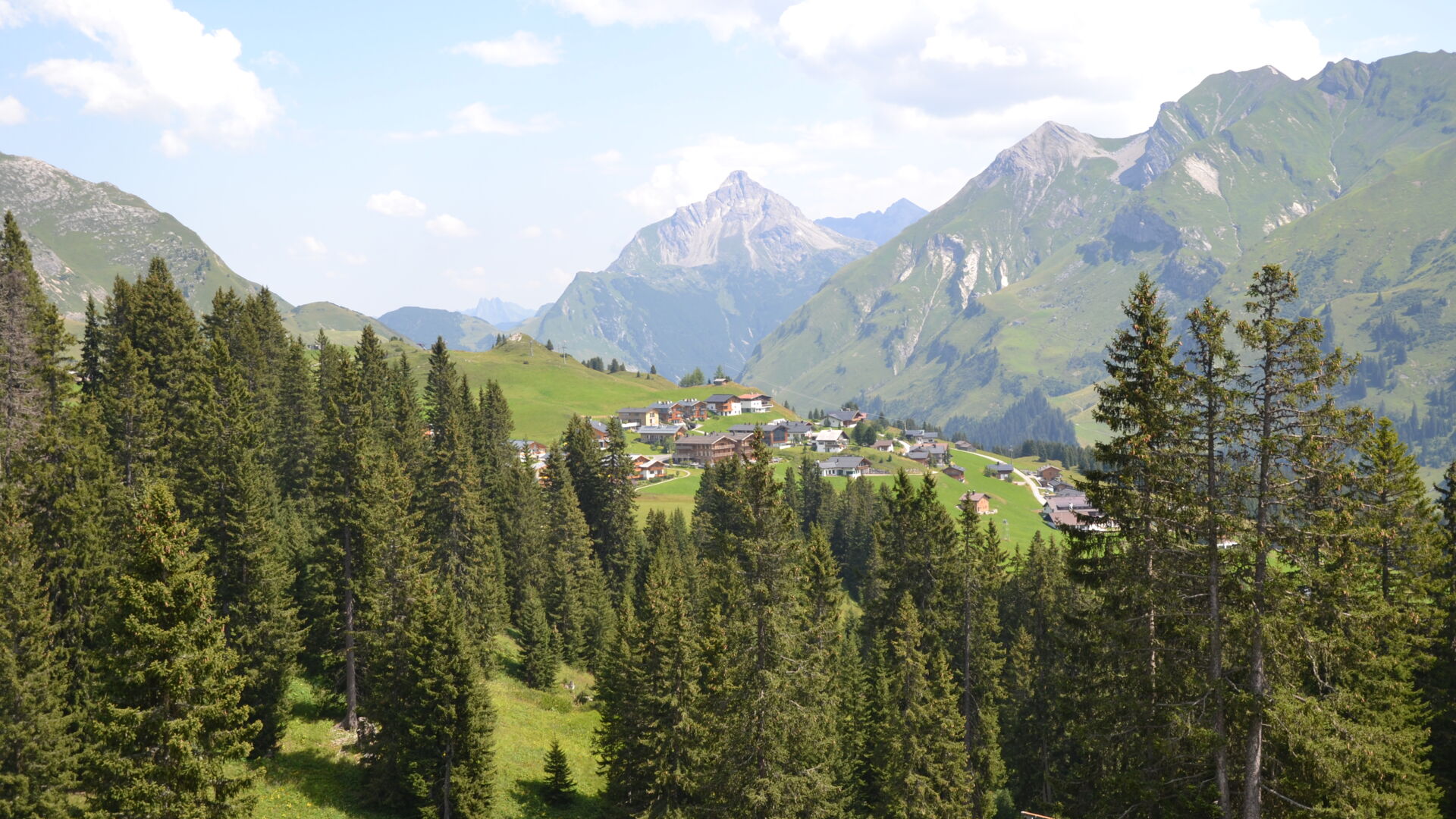 Blick Ã¼ber den Oberlecher Wald