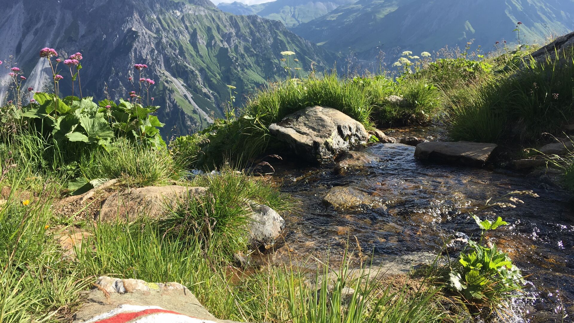 Am Wegesrand
