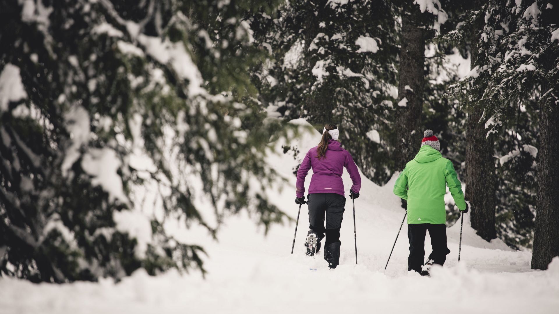 zwei Personen wandern mit ihren Schneeschuhen durch die Winterlandschaft von Lech Zürs am Arlberg