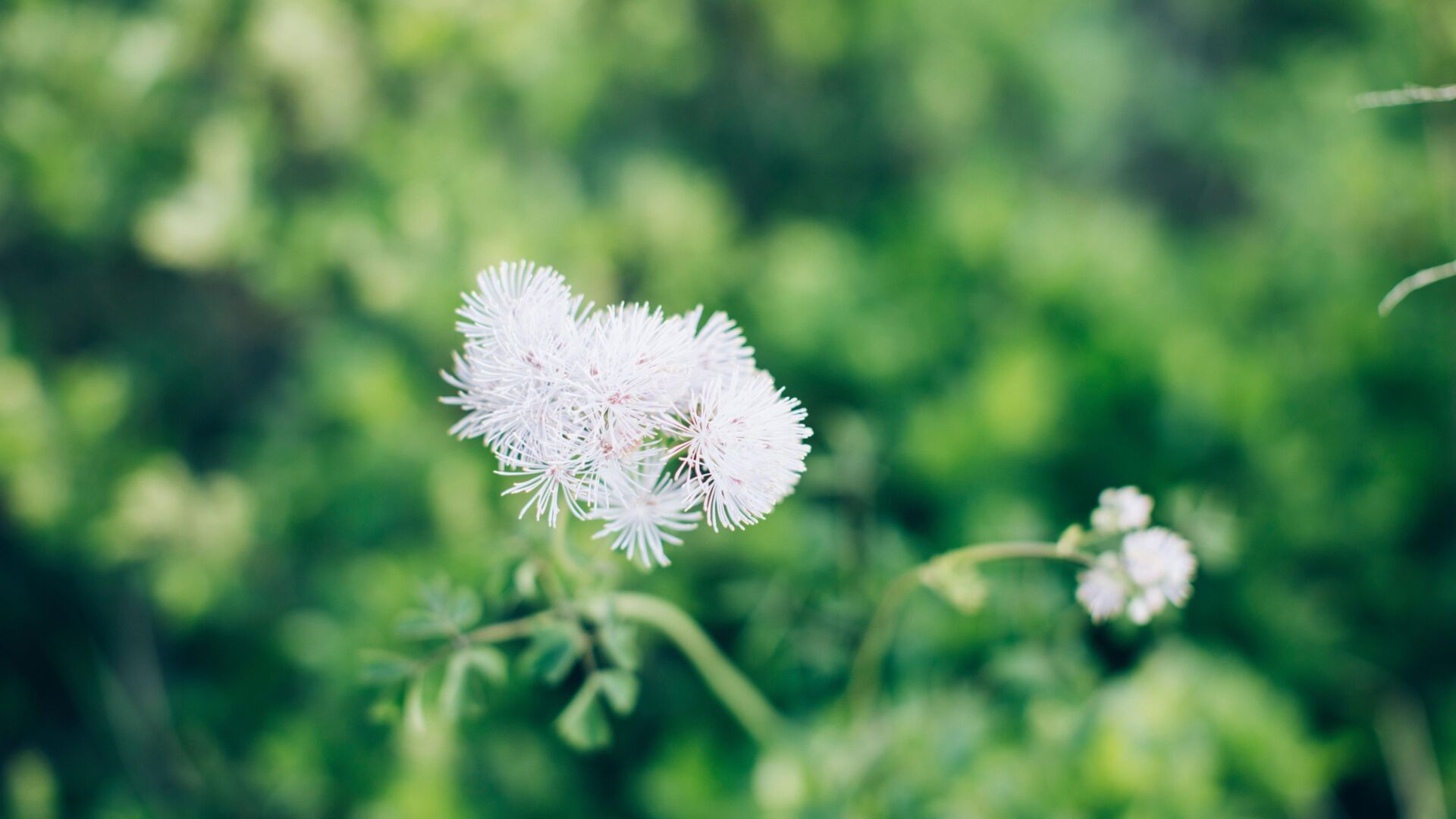 Lech ZÃ¼rs Wandern Vorarlberg