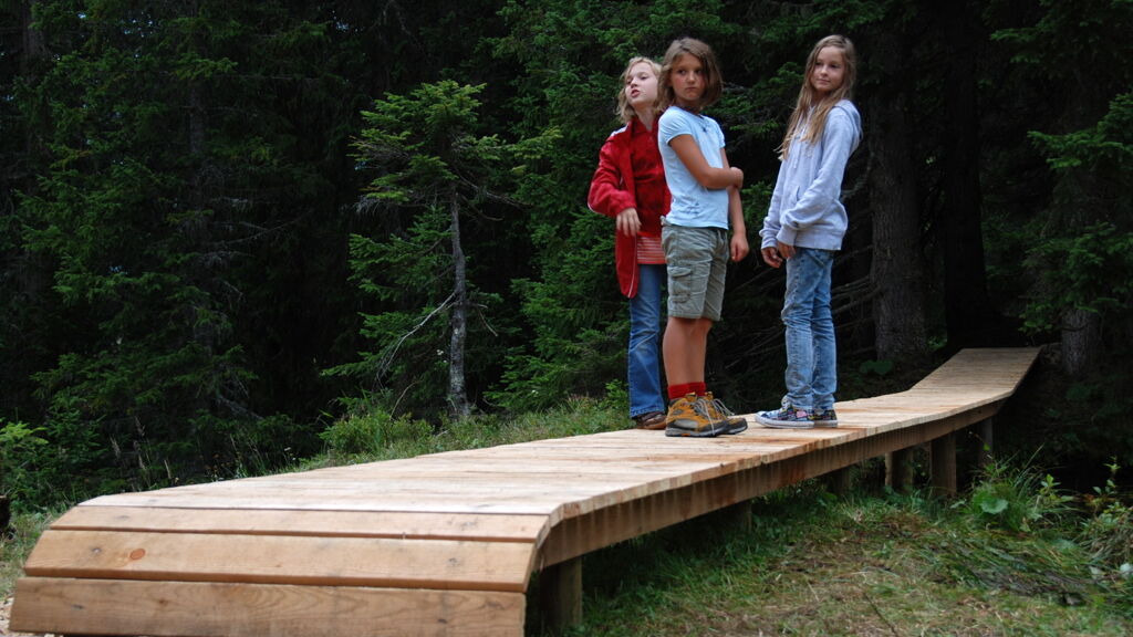 Drei Kinder wandern auf einem Holzsteeg durch den Wald