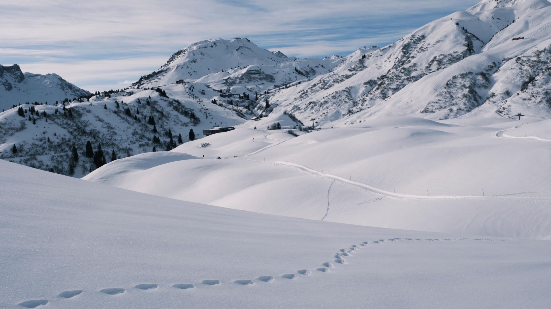 Winter_2025_LZTG_by_Vincent Croce_WEB (12)