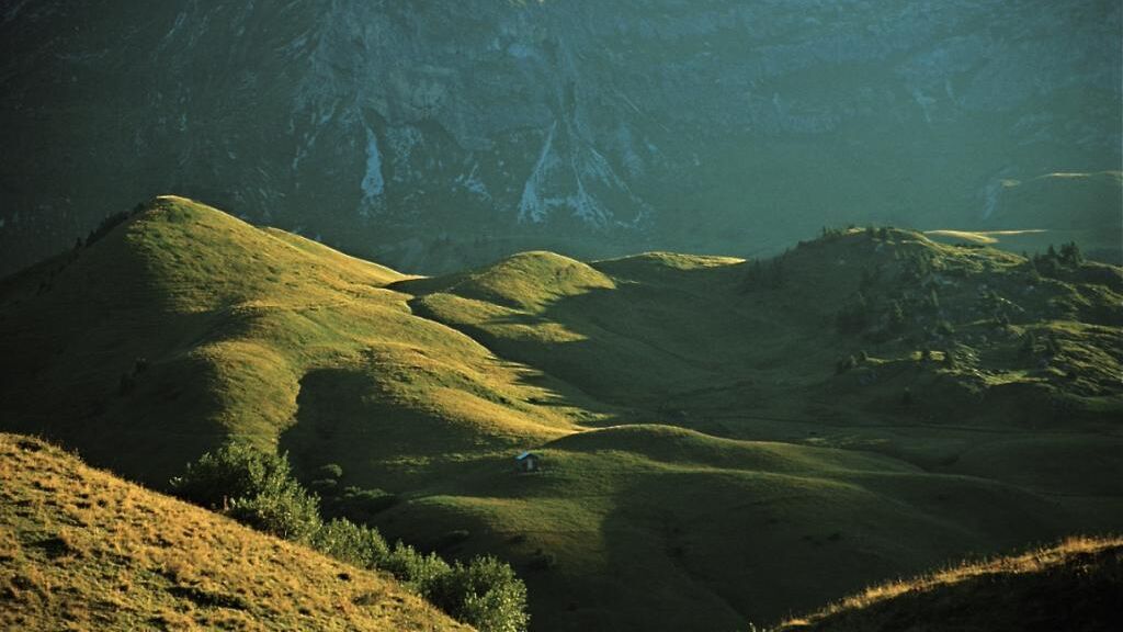 Blick auf Gaisbühelmähder