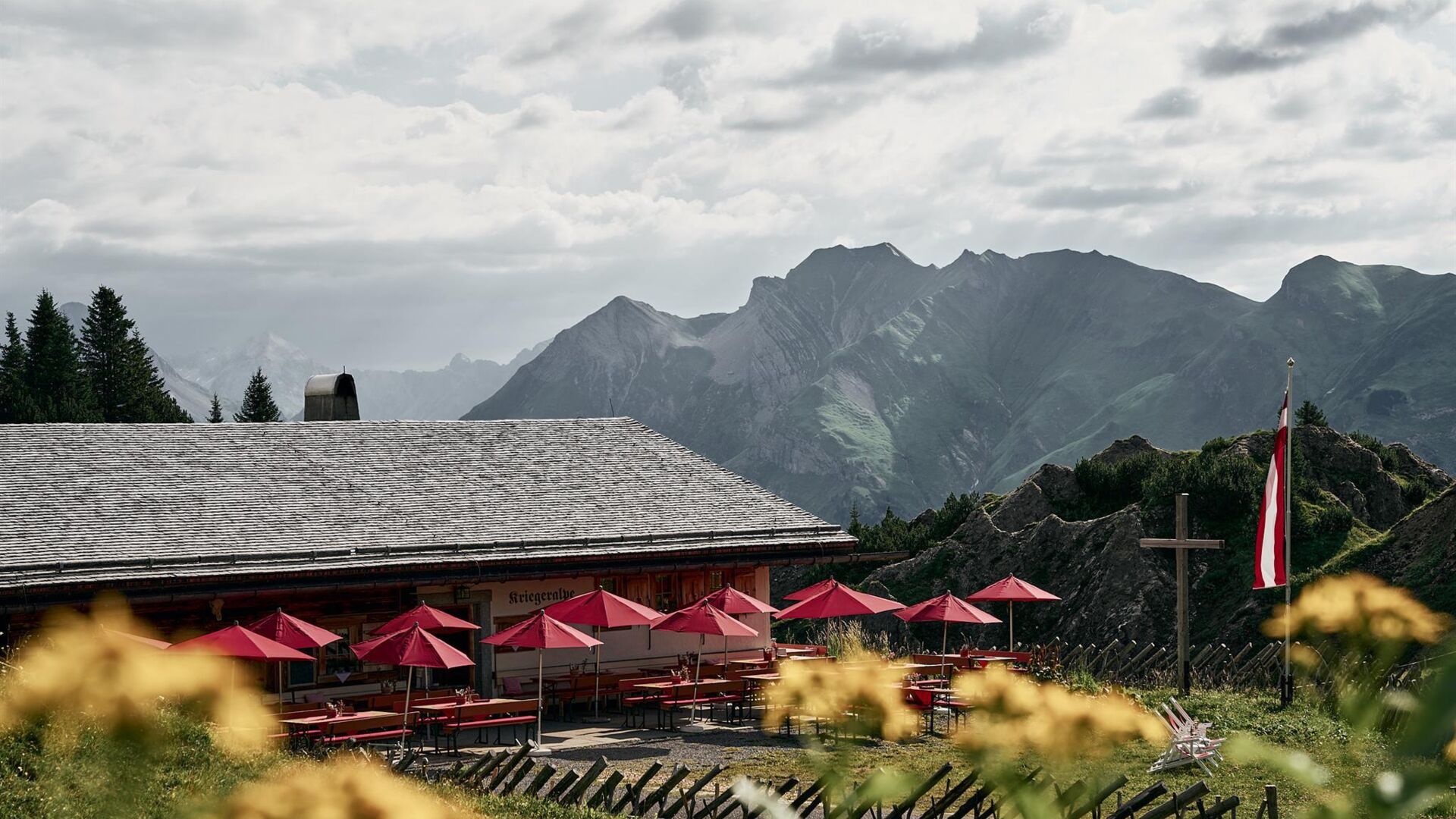 Kriegeralpe in summer