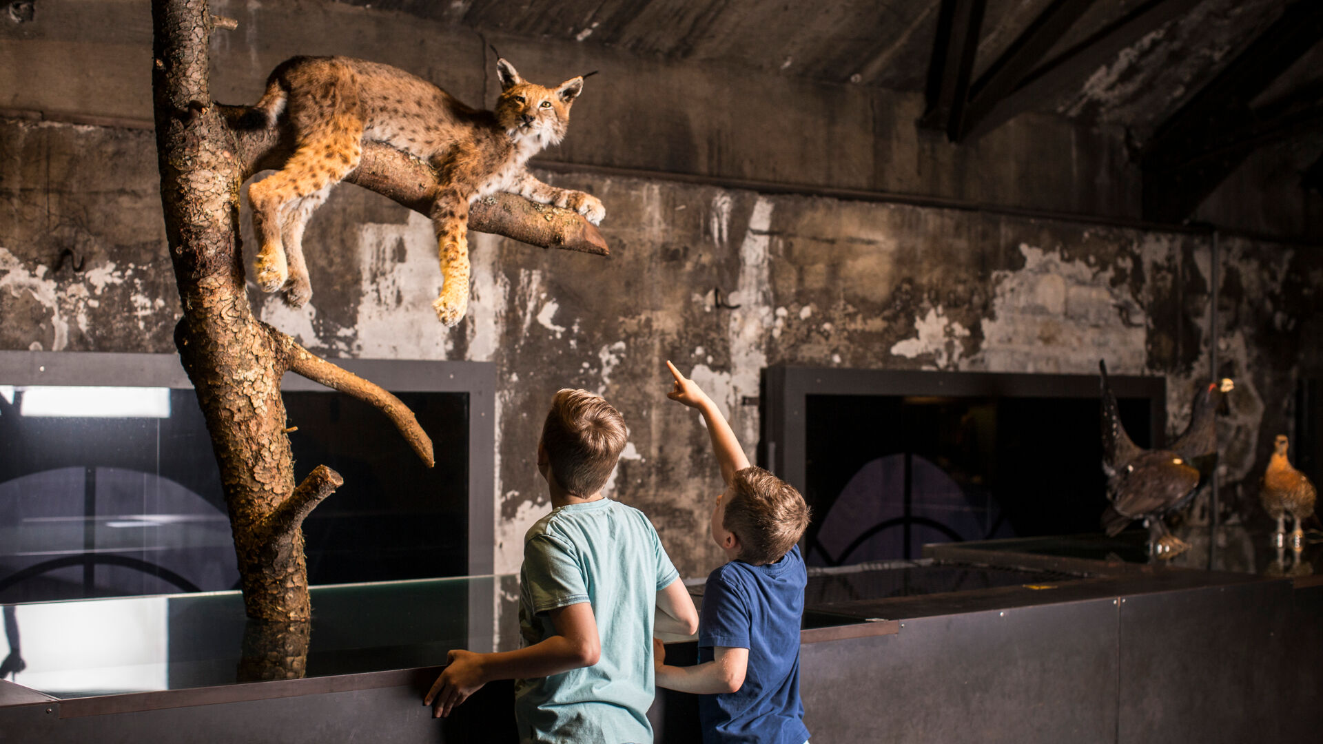 Inatura_Lech_Card_Partner (3)