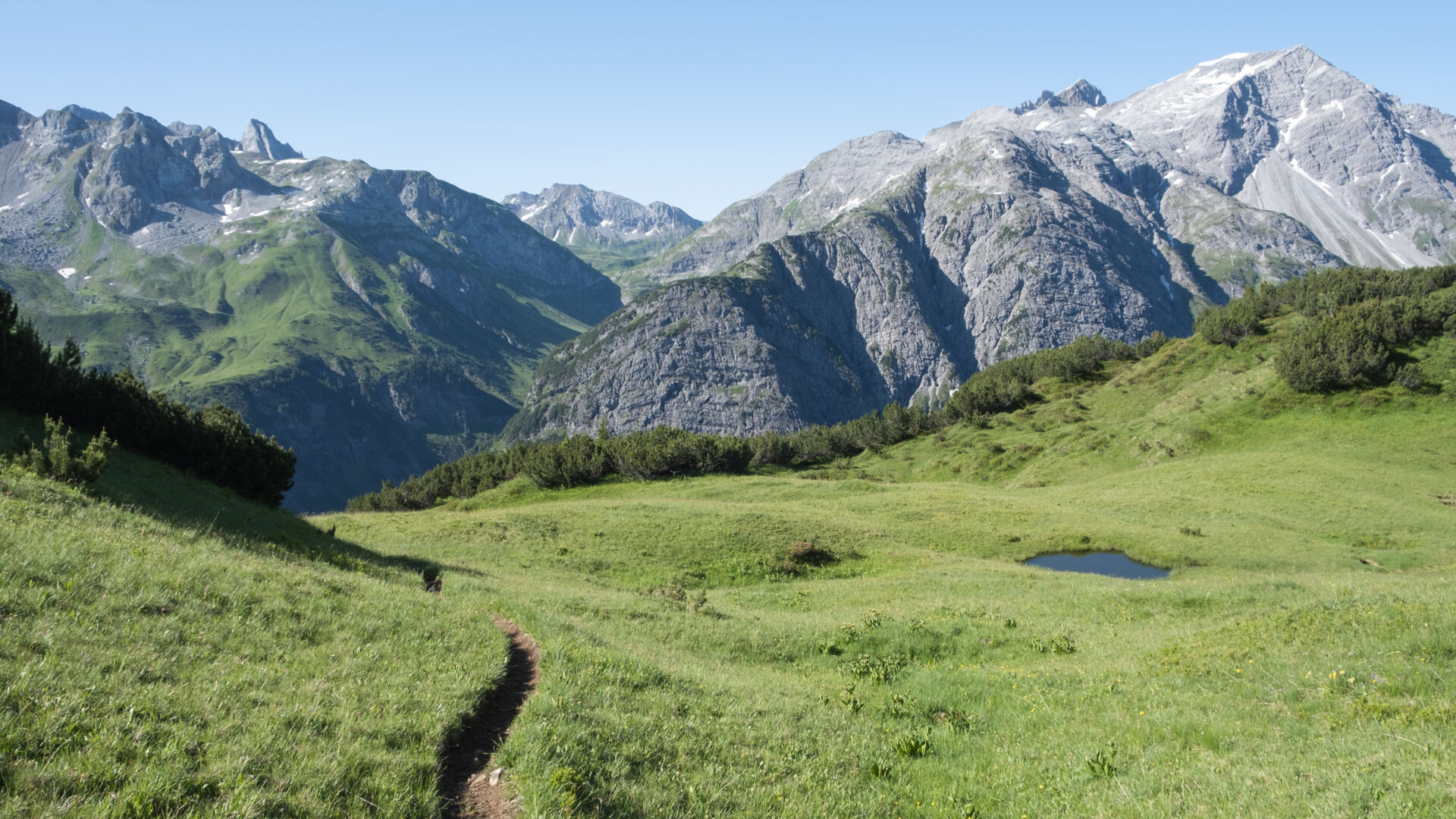 Grüne Bergwiese mit weitläufigem Bergpanorama im Hintergrund