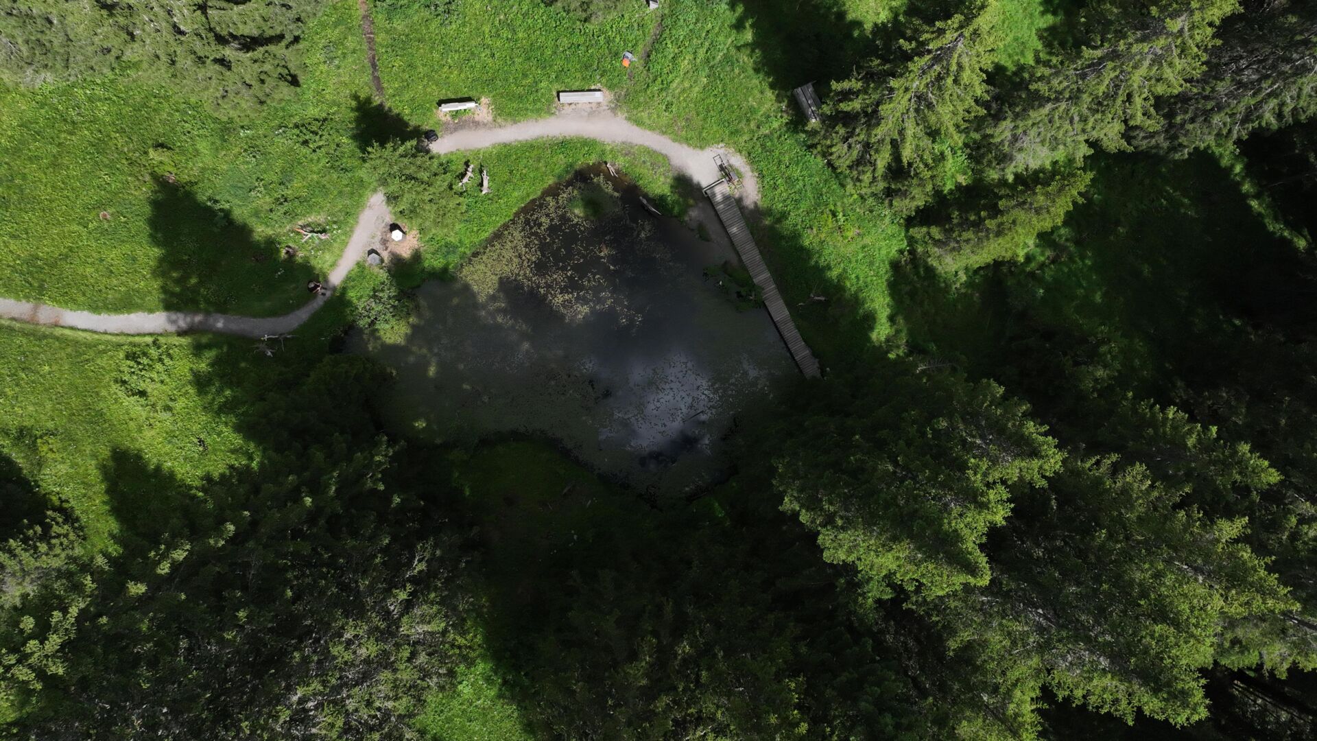 Vogelperspektive des Libellensees am Grünen Ring