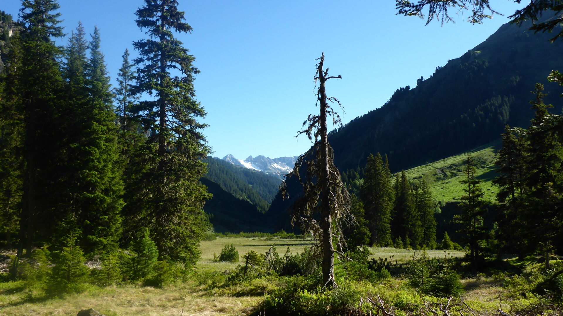 Im Glockwald hinter der Konstanzer HÃ¼tte