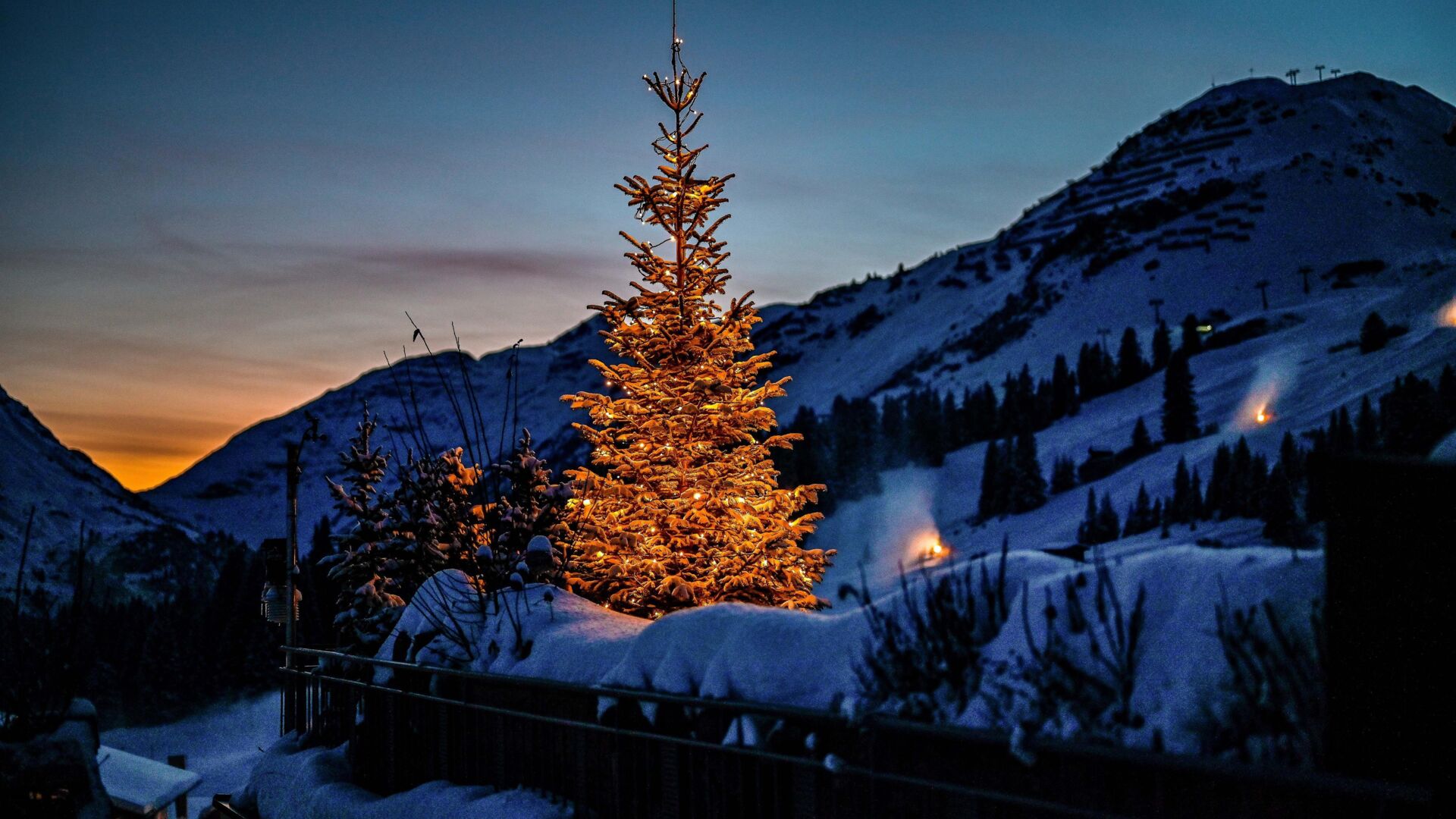Beleuchteter Baum vor Bergen bei Sonnenuntergang
