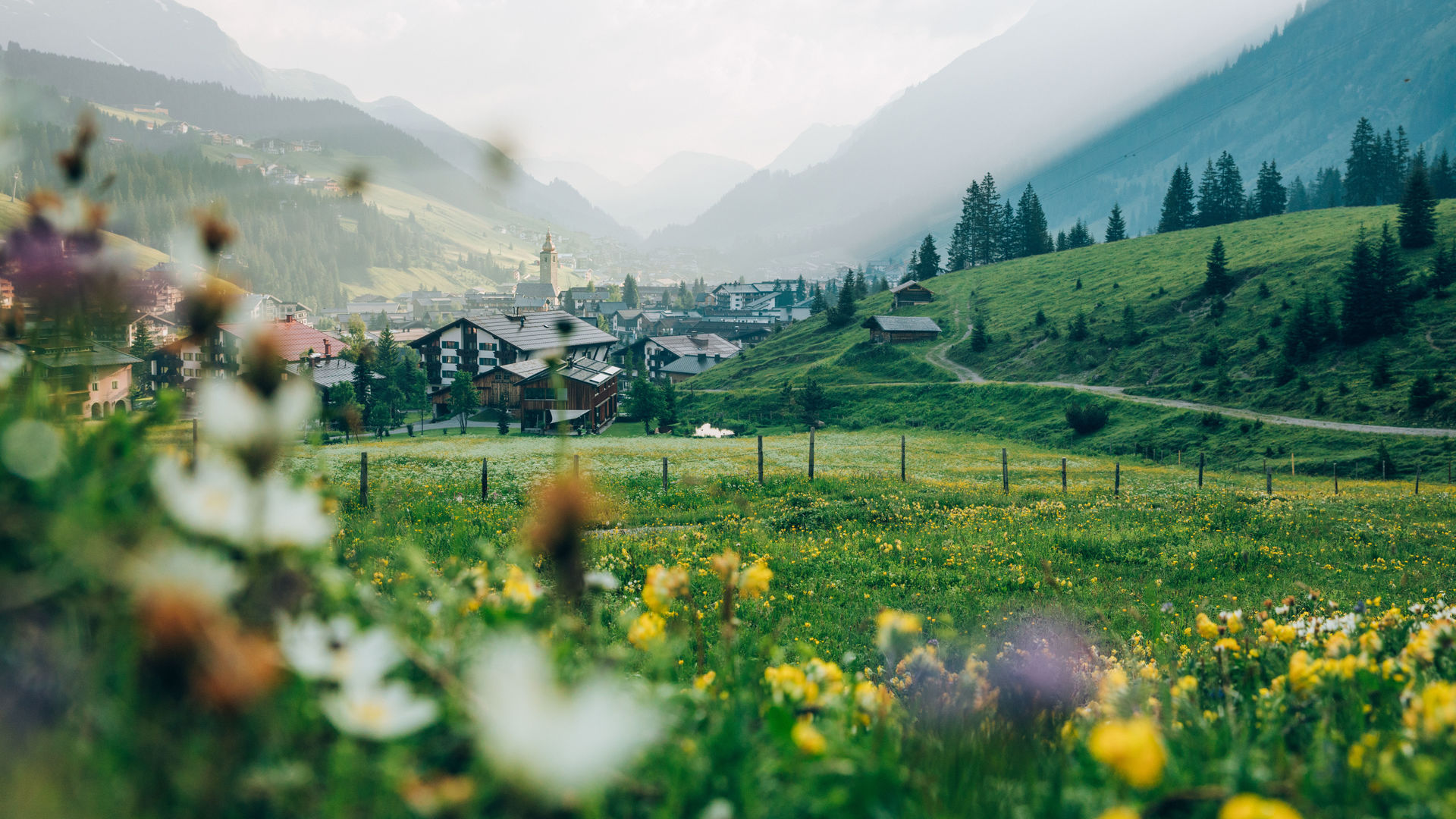 blühende Blumenwiese mit Ausblick auf ein Dorf