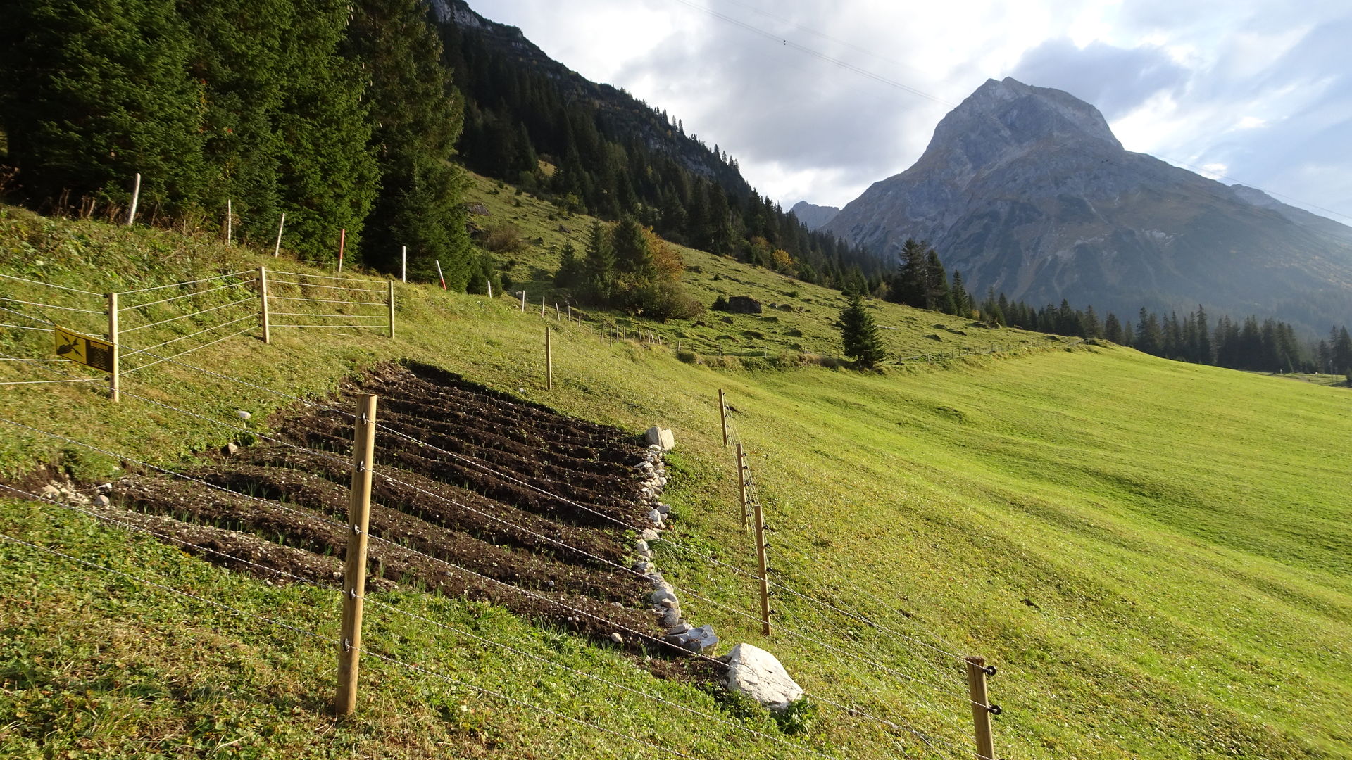 Lecher_Safran_LZTG_by_Laurin_Jochum_1