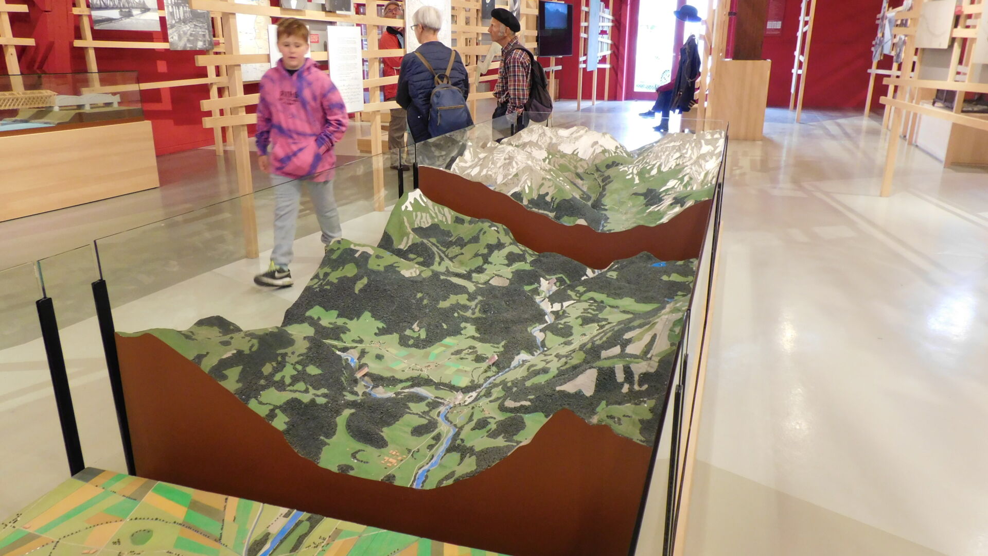 Rheinbaehnle_by_Rheinbaehnle (4)