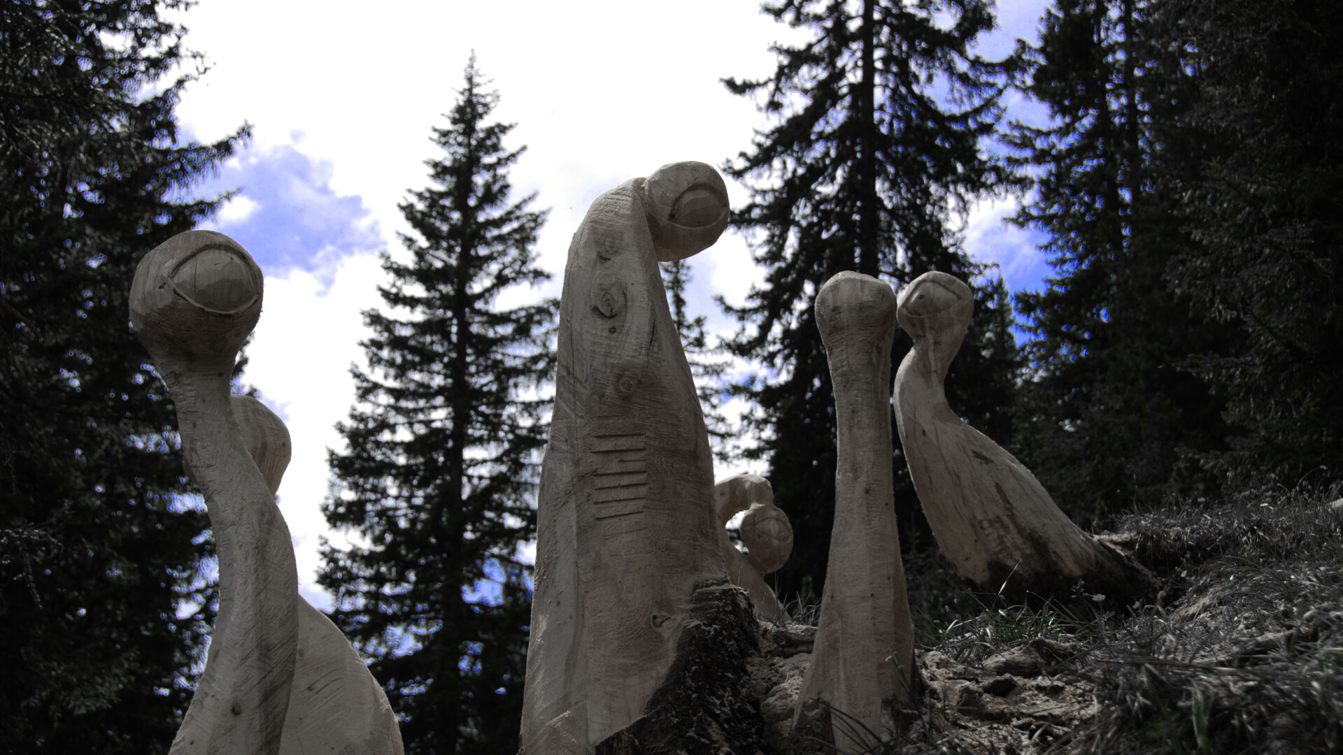 Waldaugen aus Holz stehen im Sagenwald am Grünen Ring