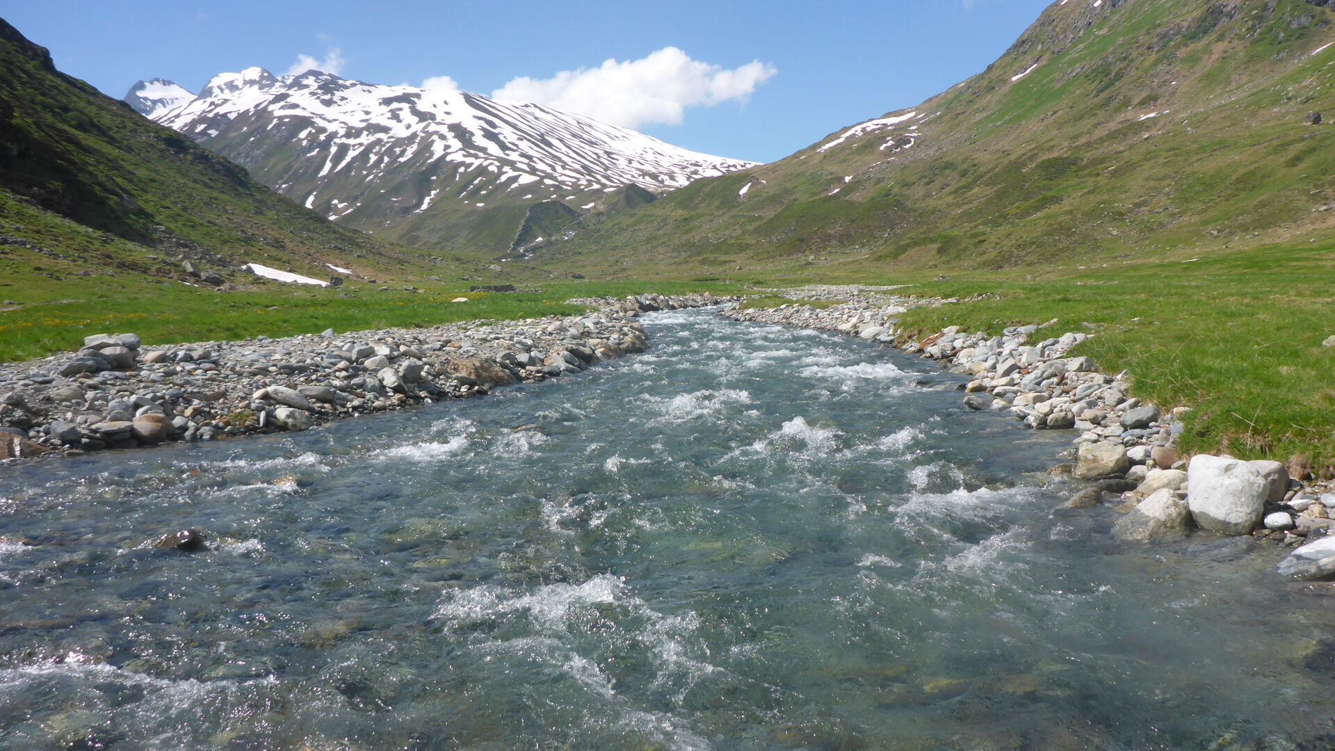 die Rosanna bei der SchÃ¶nverwallalpe
