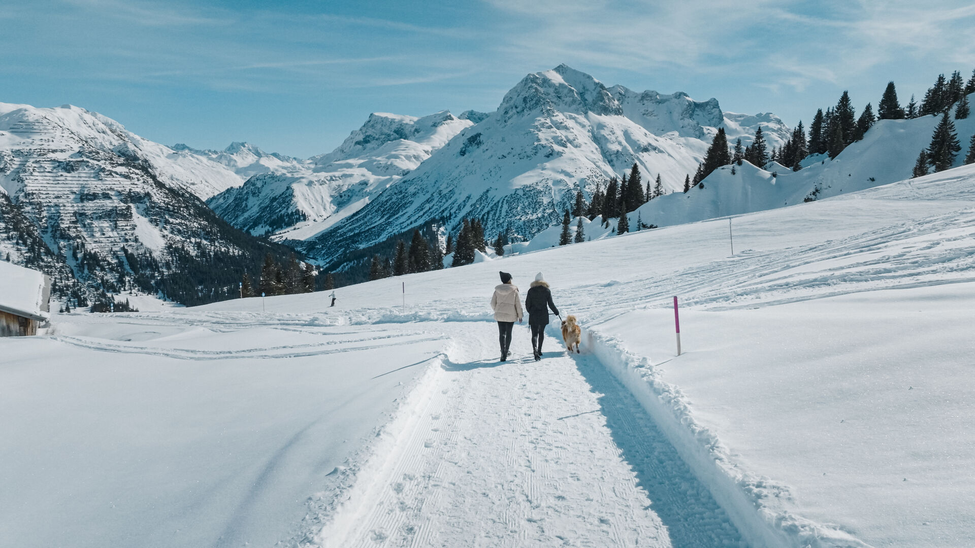 zwei Personen laufen mit ihrem Hund über den Winterwanderweg in Lech Zürs, im Hintergrund sieht man die verschneiten Berggipfel