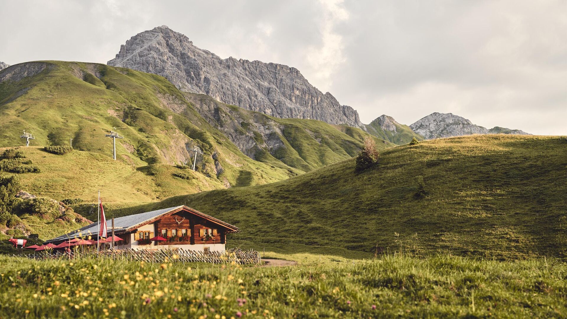 SolidBold_BRG__SBD9683