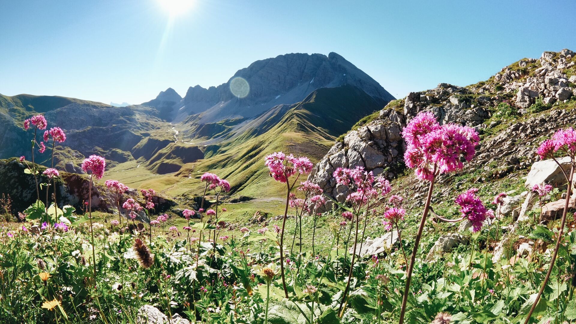 Ruefikopf_Monzabonsee_Aug20_LZTG_by_Magdalena_Walch (1)