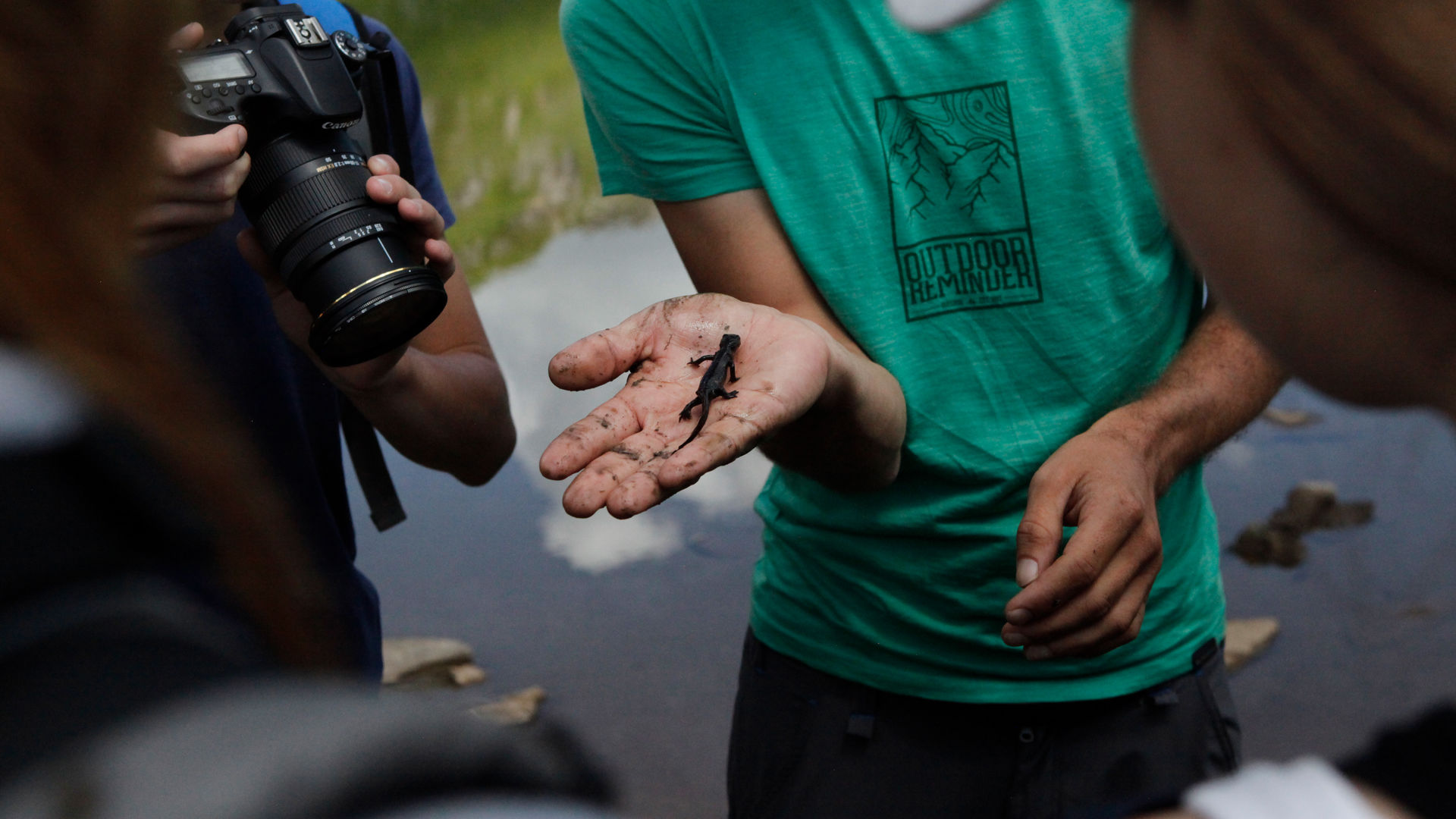 Wanderer untersuchen einen schwarzen Alpensalamander, ein sehr seltenes Tier in den Alpen