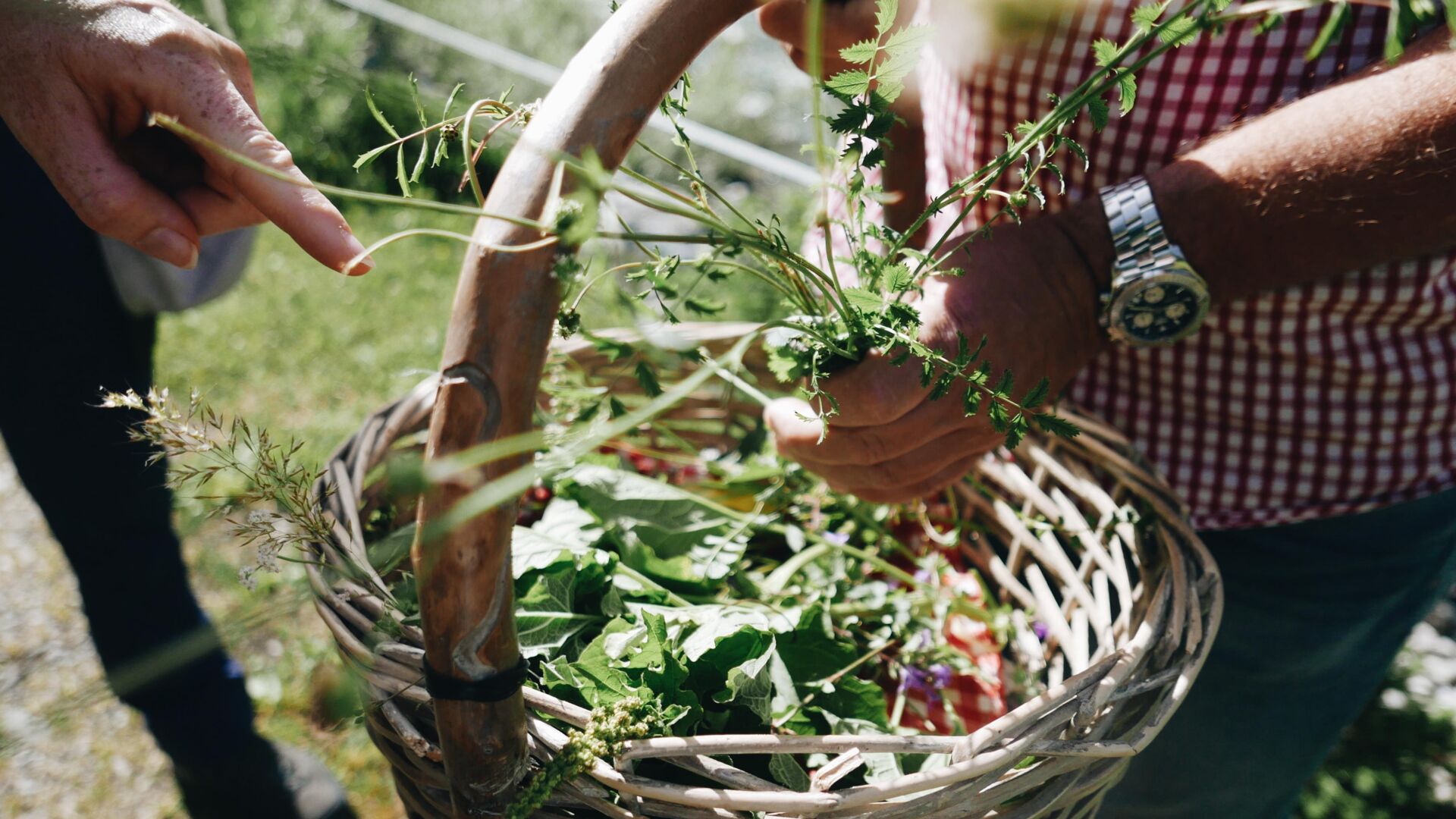 Blumen und KrÃ¤uterkorb