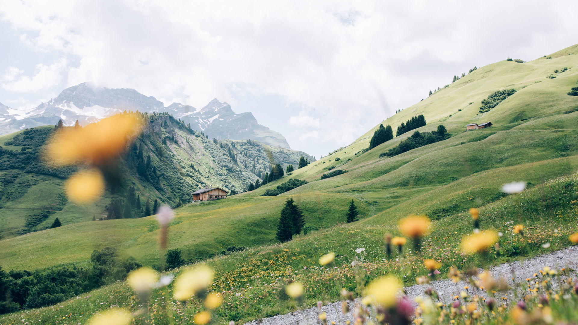 Wandern_LZTG_by_Daniel_Zangerl_WEB_ (18)