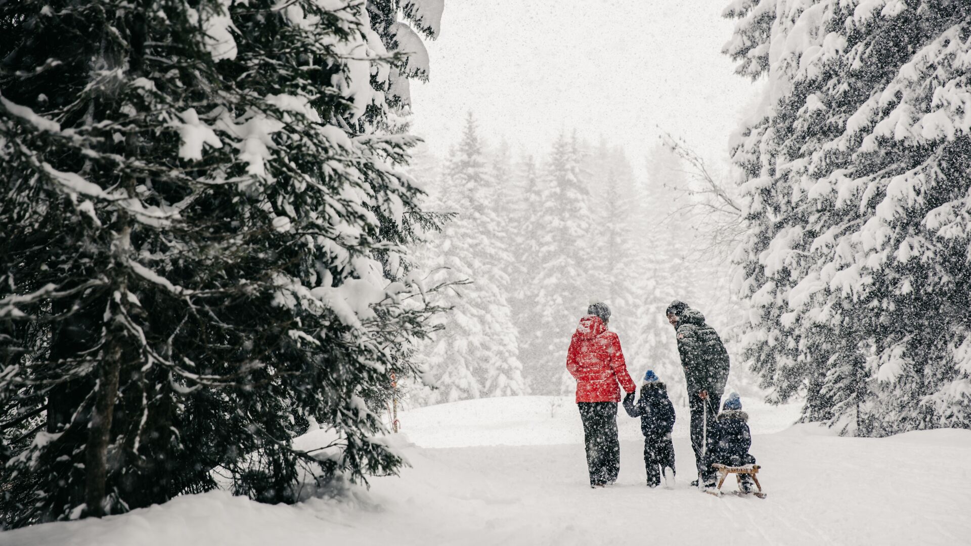 Lech - Stubenbach - Lech