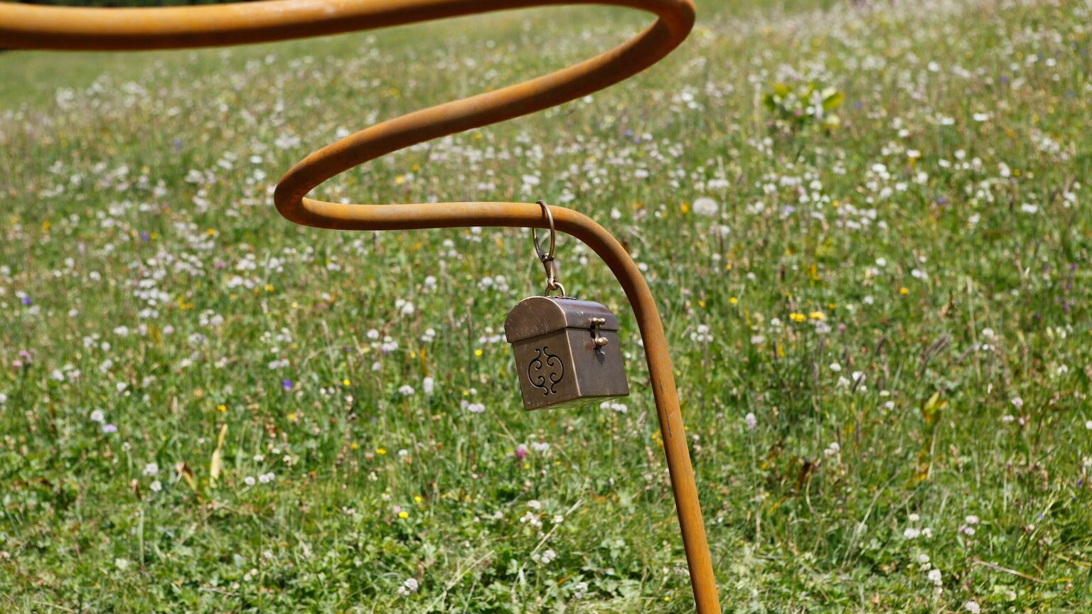 Der_Gruene_Raetsel_Ring_LZTG (1)