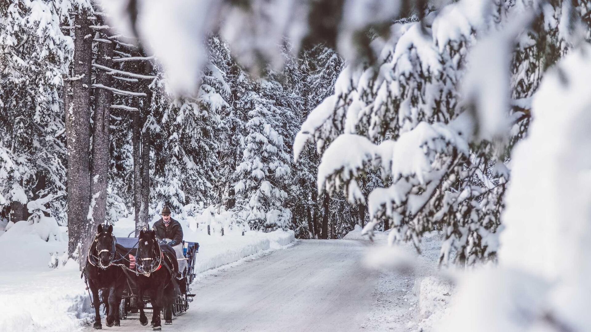 Haus Braunarl Lech Winter