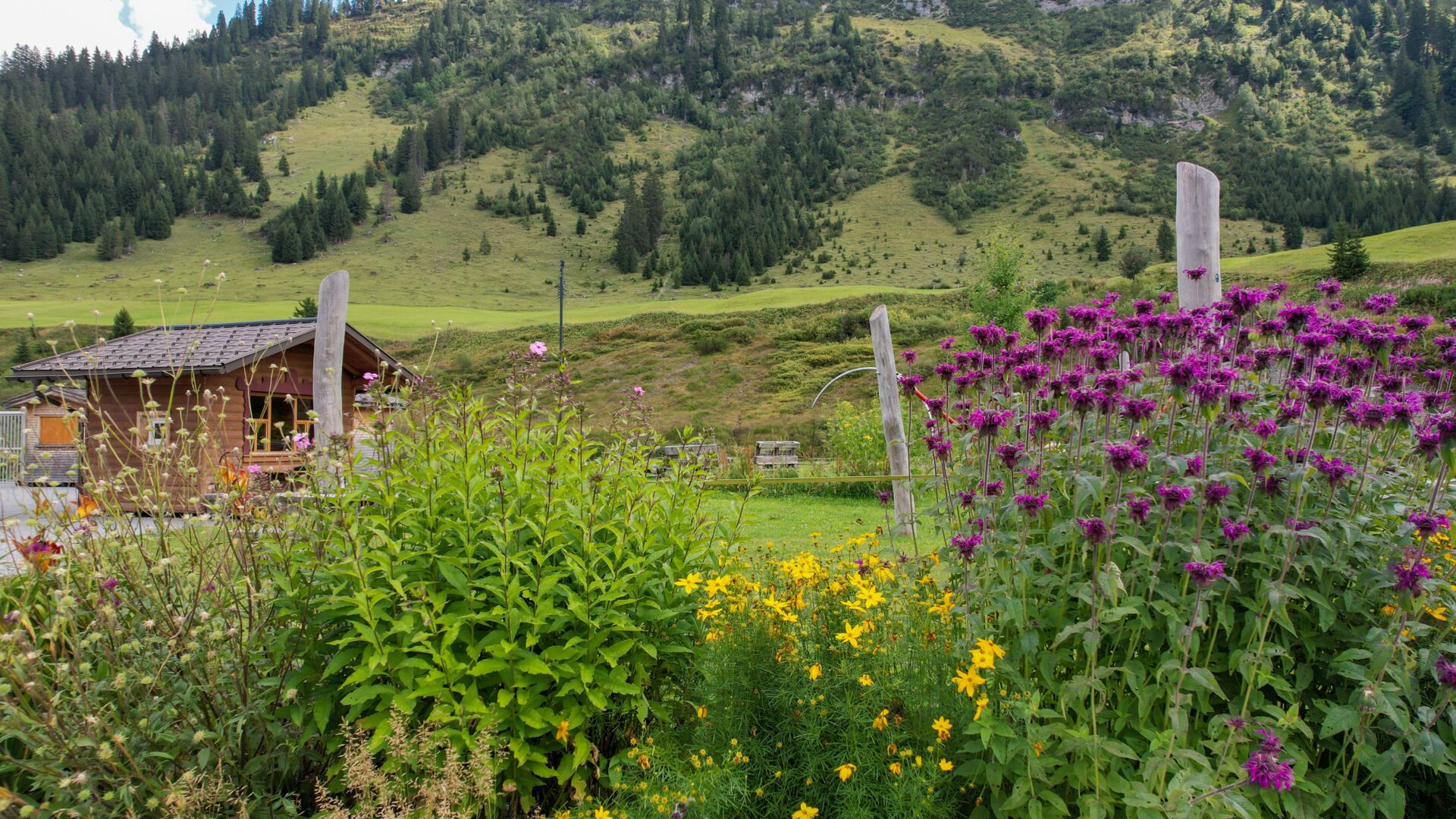 Grillplaetze_Sportpark_2022_LZTG_by_Dietmar_Hurnaus_WEB (1)