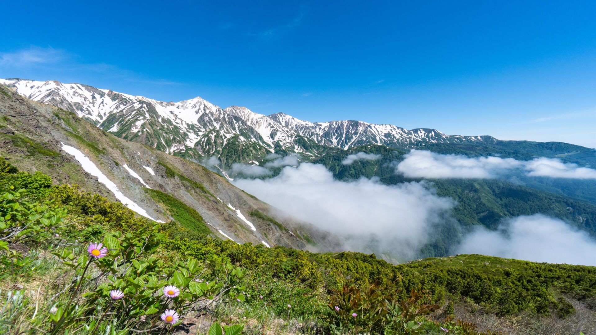 Hakuba Happo
