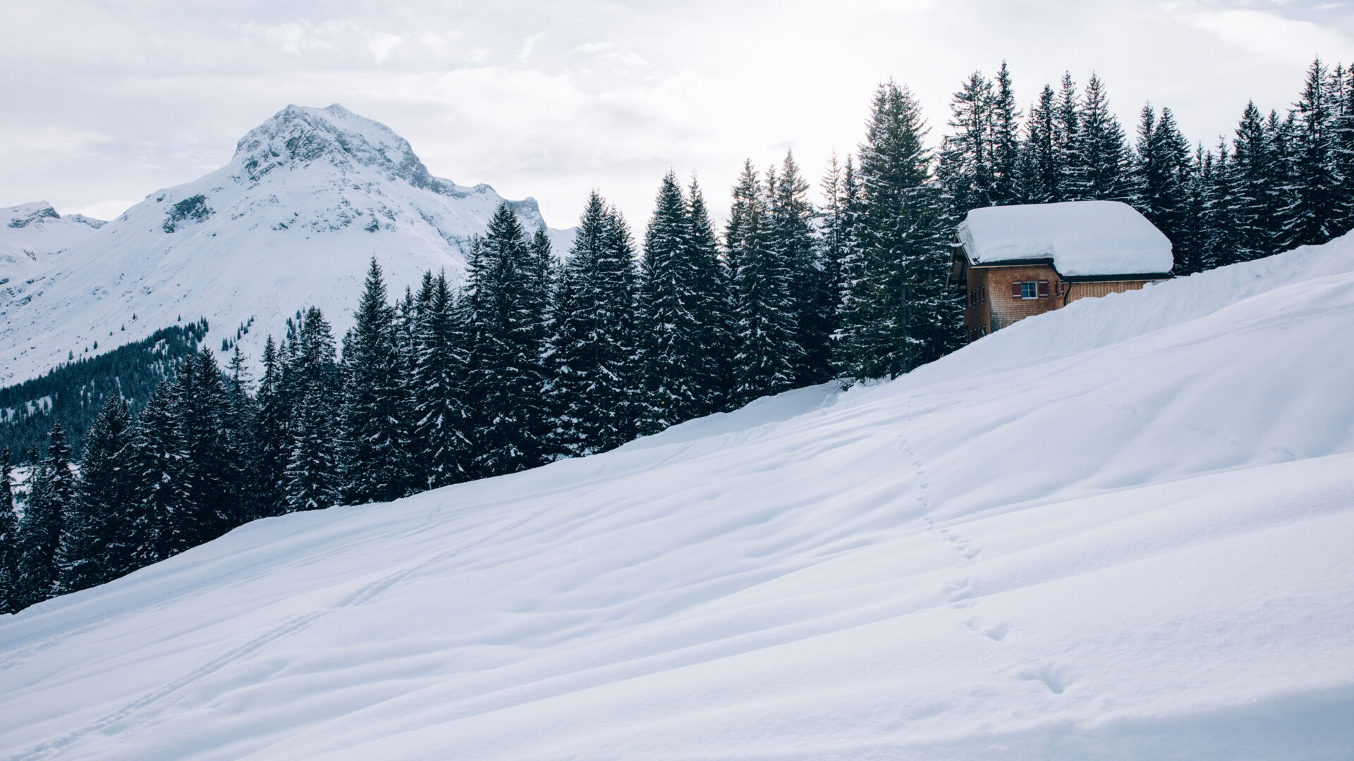 Blick auf eine unbefahrene Tiefschneeabfahrt, im Hintergrund sieht man eine kleine Holzhütte vor dem traumhaften Bergpanorama