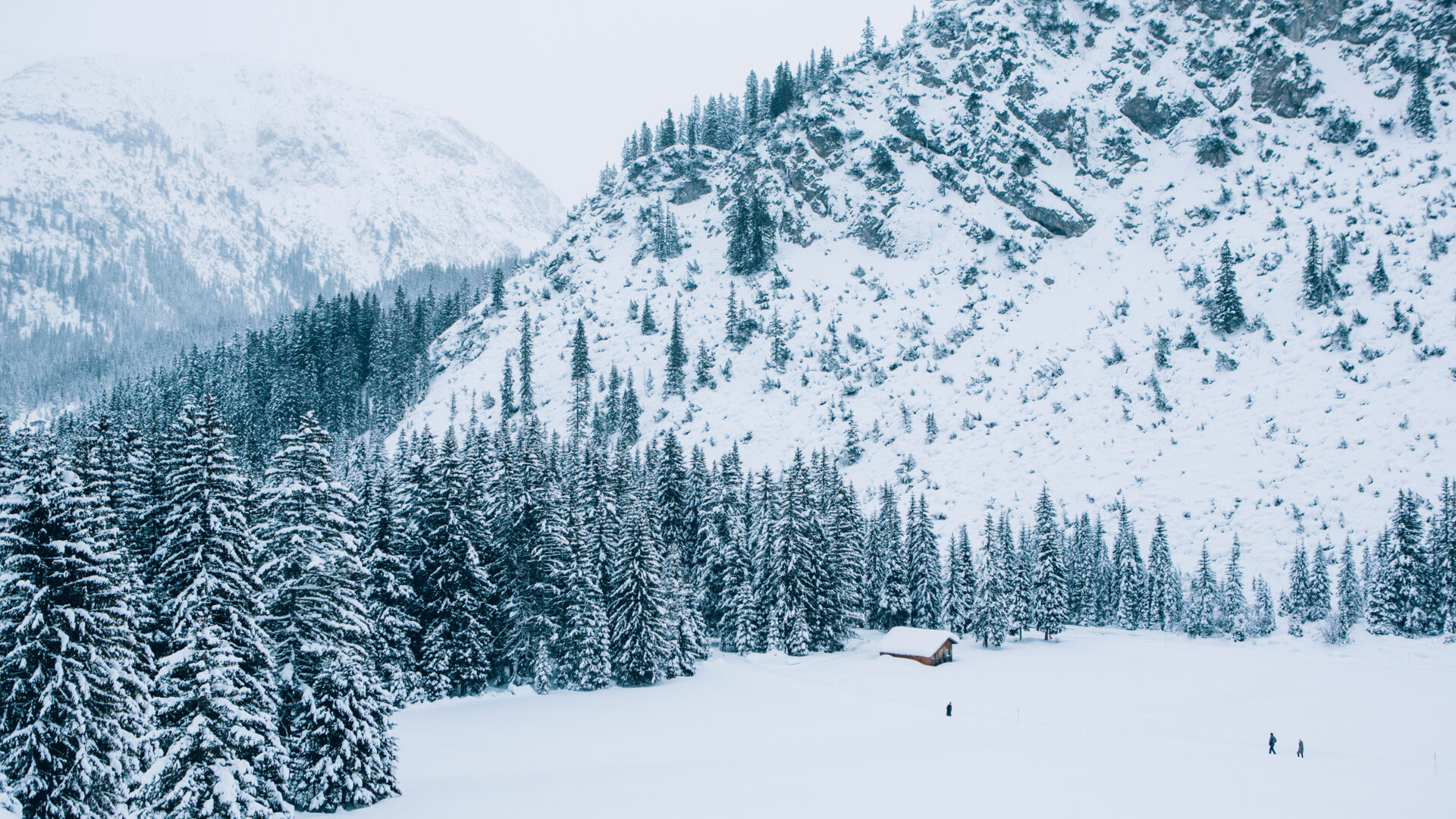 Landschaft_LZTG_by_Daniel_Zangerl_web (17)