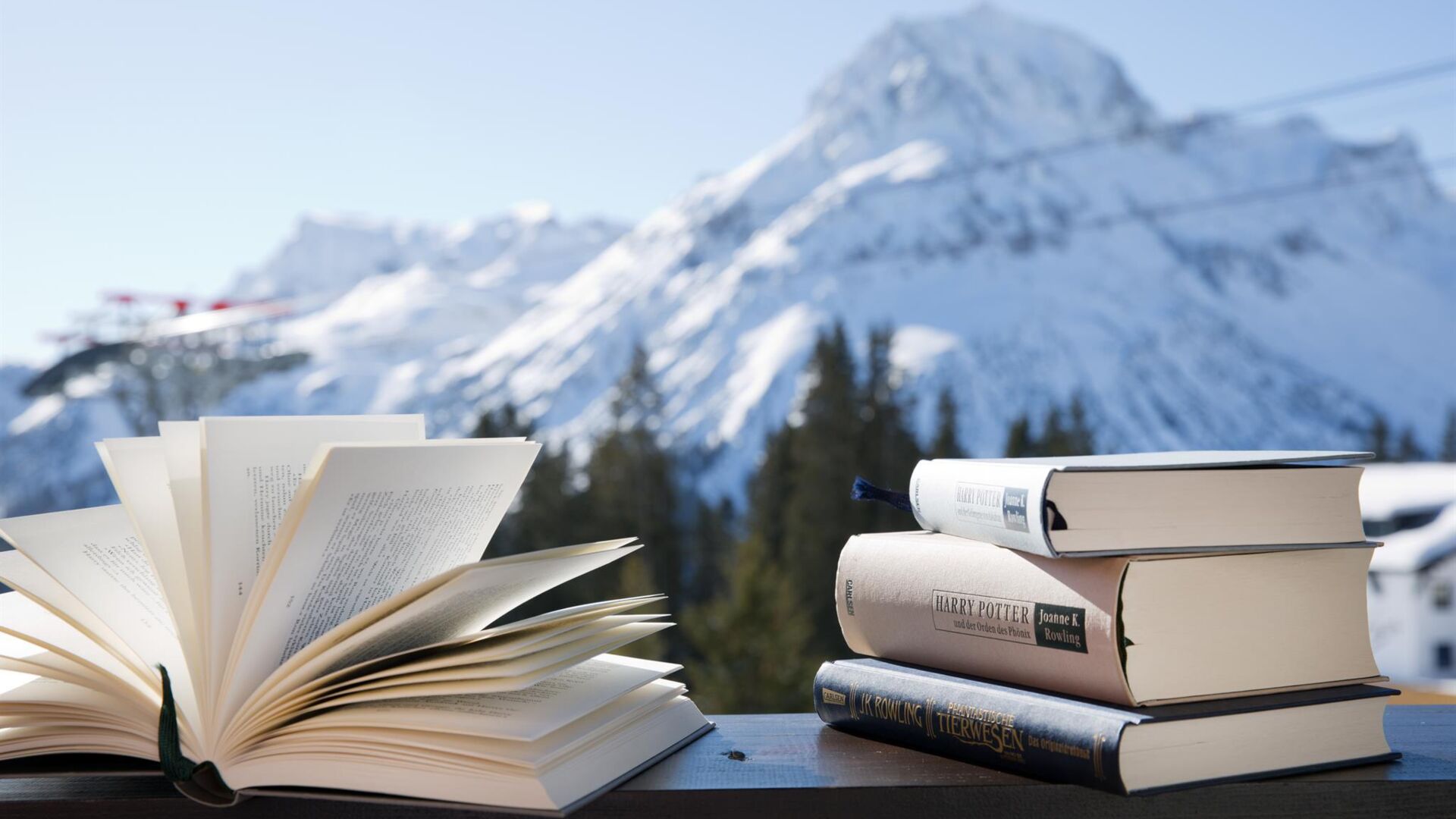 22_Sonnenburg Buecher