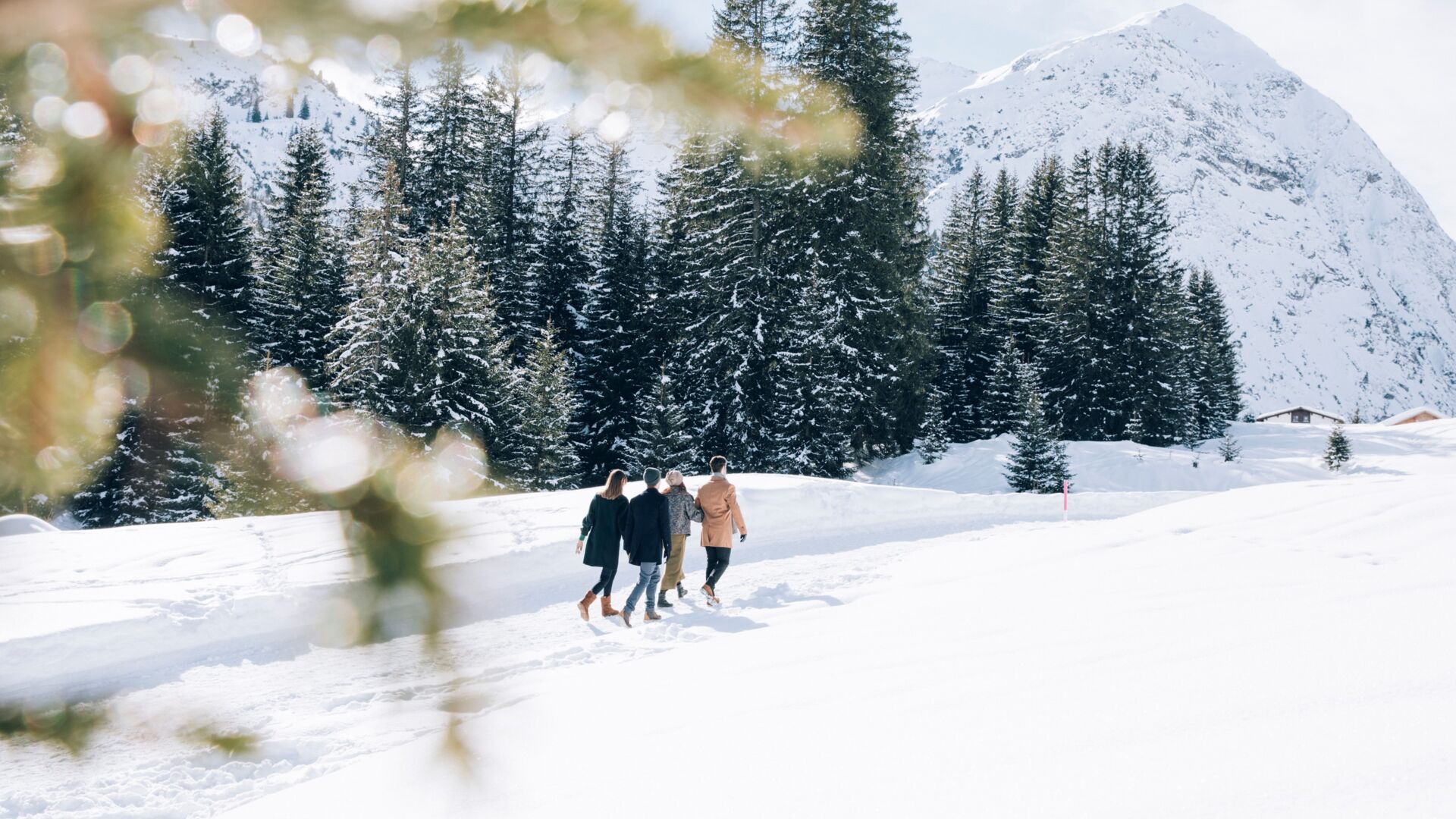 Ãlpele - Spullerwald - TannlÃ¤geralpe - Zug